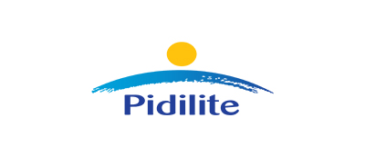Pedilite-fevicol Pedilite-fevicol